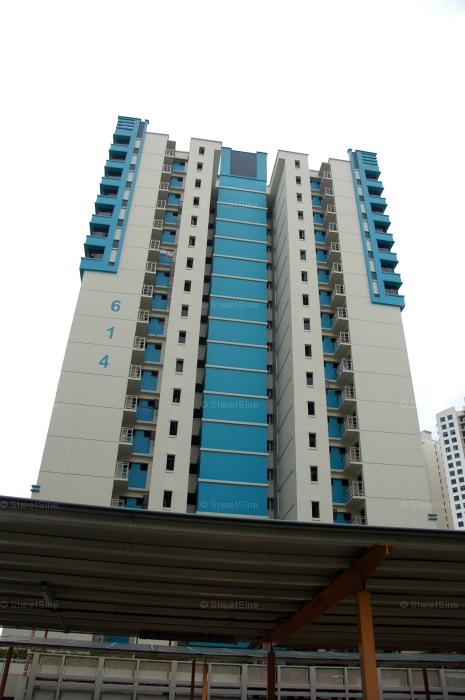 Blk 614 Senja Road (Bukit Panjang), HDB 5 Rooms #215412